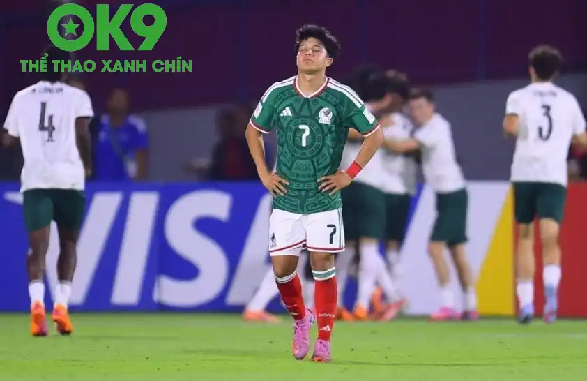 Halcones được dự đoán sẽ có chiến thắng trước Zitacuaro